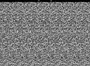 TN_sirds0117.JPG (4646 bytes)
